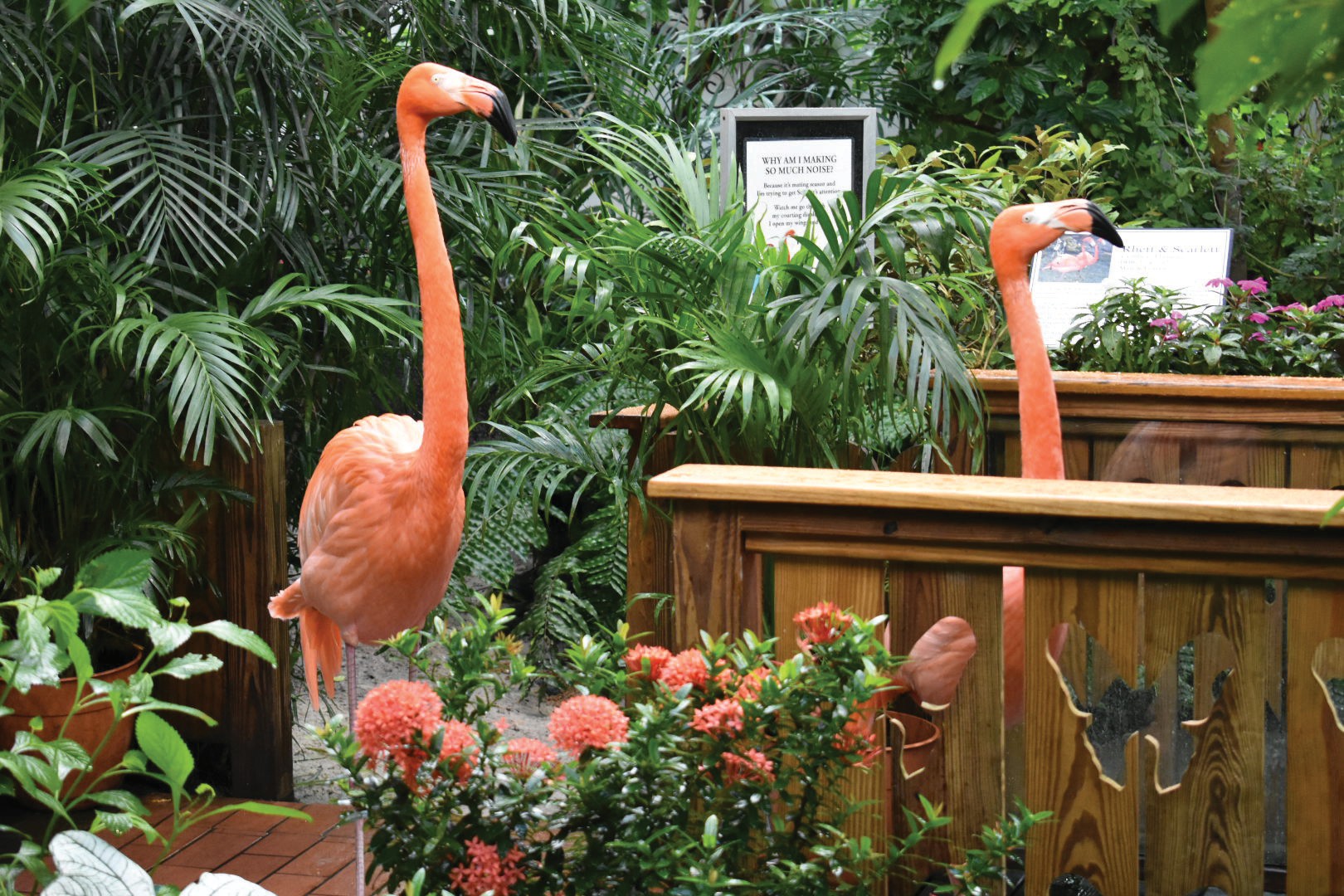 a flamingo standing in front of a flower garden