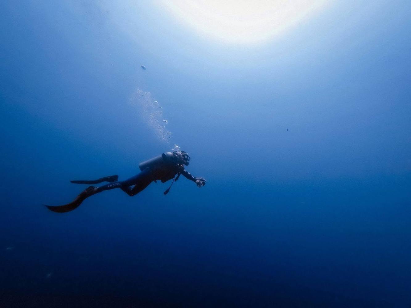 a person flying through the air while swimming